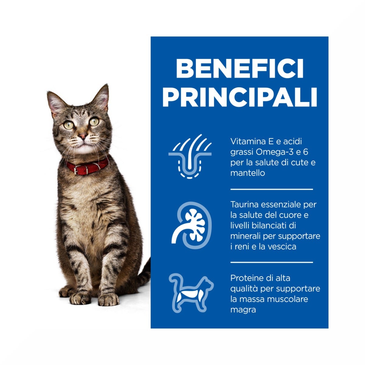 Hill's Science Plan Adult Crocchette per Gatti con Tonno 10Kg-4