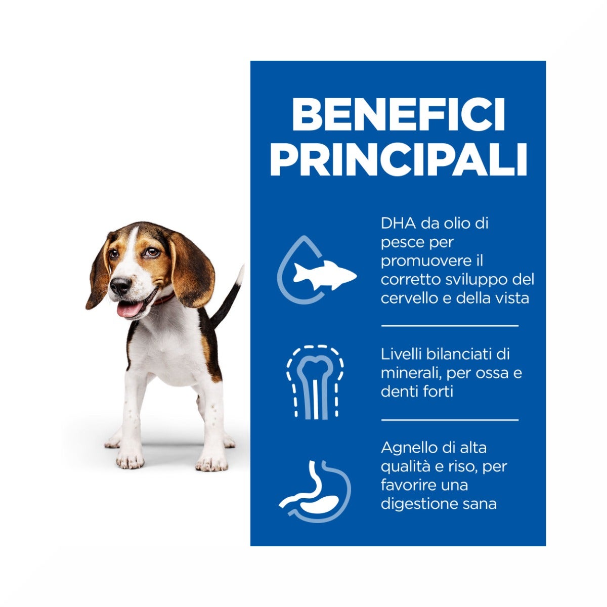 Hill's Science Plan Puppy Medium Crocchette All'agnello E Riso Per Cuccioli Sacco 14 Kg-3