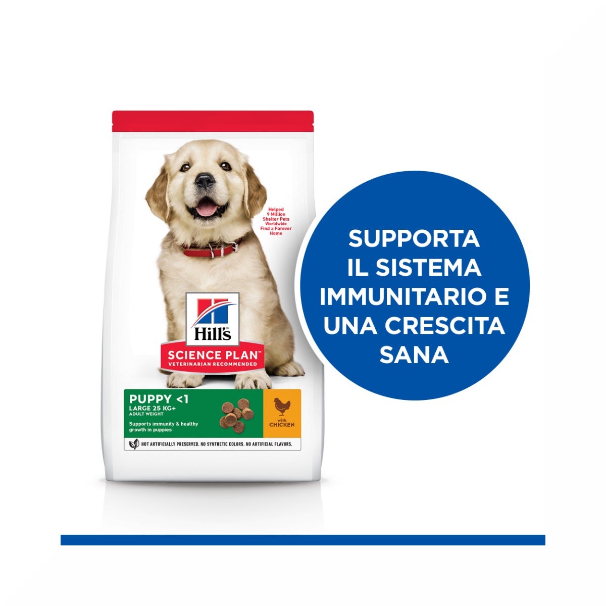 Hill's Science Plan Large Breed Puppy Crocchette Con Pollo Per Cuccioli Sacco 14,5Kg-2