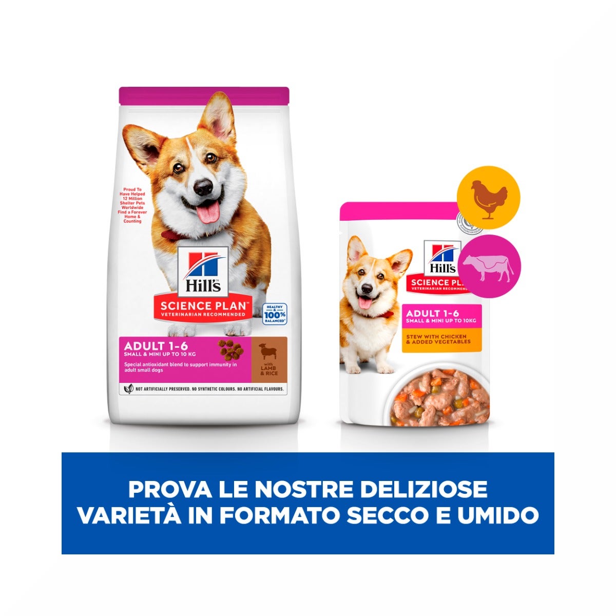 Hill's Science Plan Small & Mini Adult Crocchette con Agnello e Riso per Cani Sacco 6 Kg-16