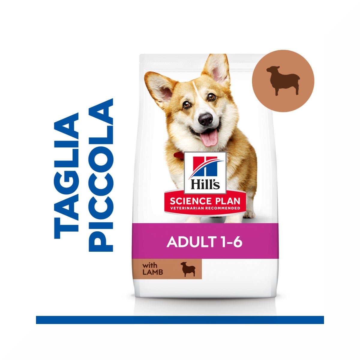 Hill's Science Plan Small & Mini Adult Crocchette con Agnello e Riso per Cani Sacco 6 Kg-10