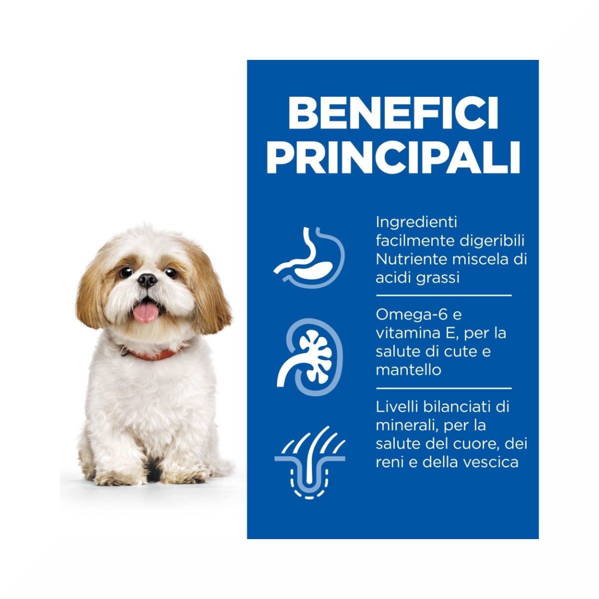 Hill's Science Plan Mature Adult 7+ Crocchette con Pollo per Cani Taglia Piccola Sacco 6 Kg-6