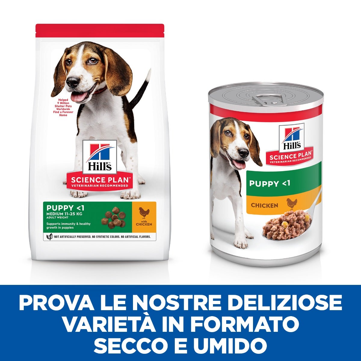 Hill's Science Plan Medium Breed Puppy Crocchette Con Pollo Per Cuccioli Sacco 14 Kg-21