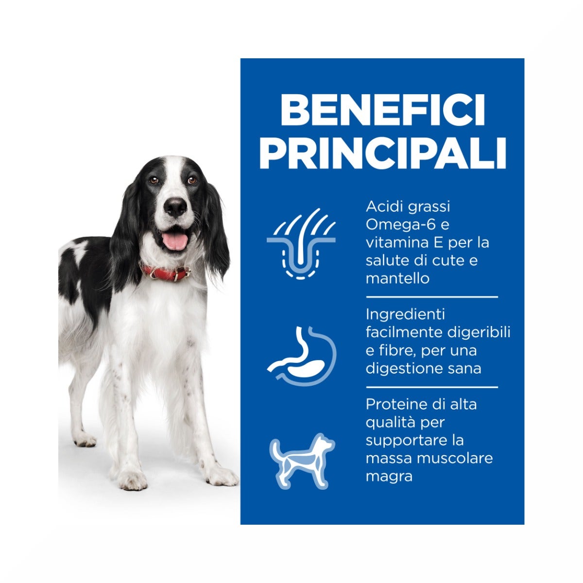 Hill's Science Plan Medium Adult Crocchette con Pollo Per Cani Sacco 14 Kg-4