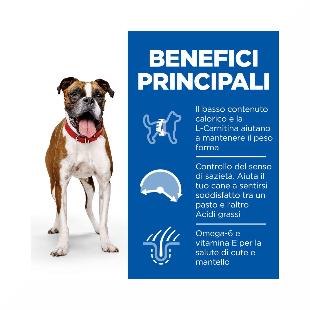 Hill's Science Plan Light Adult Crocchette Con Pollo Per Cani Taglia Media Sacco 14 Kg-4