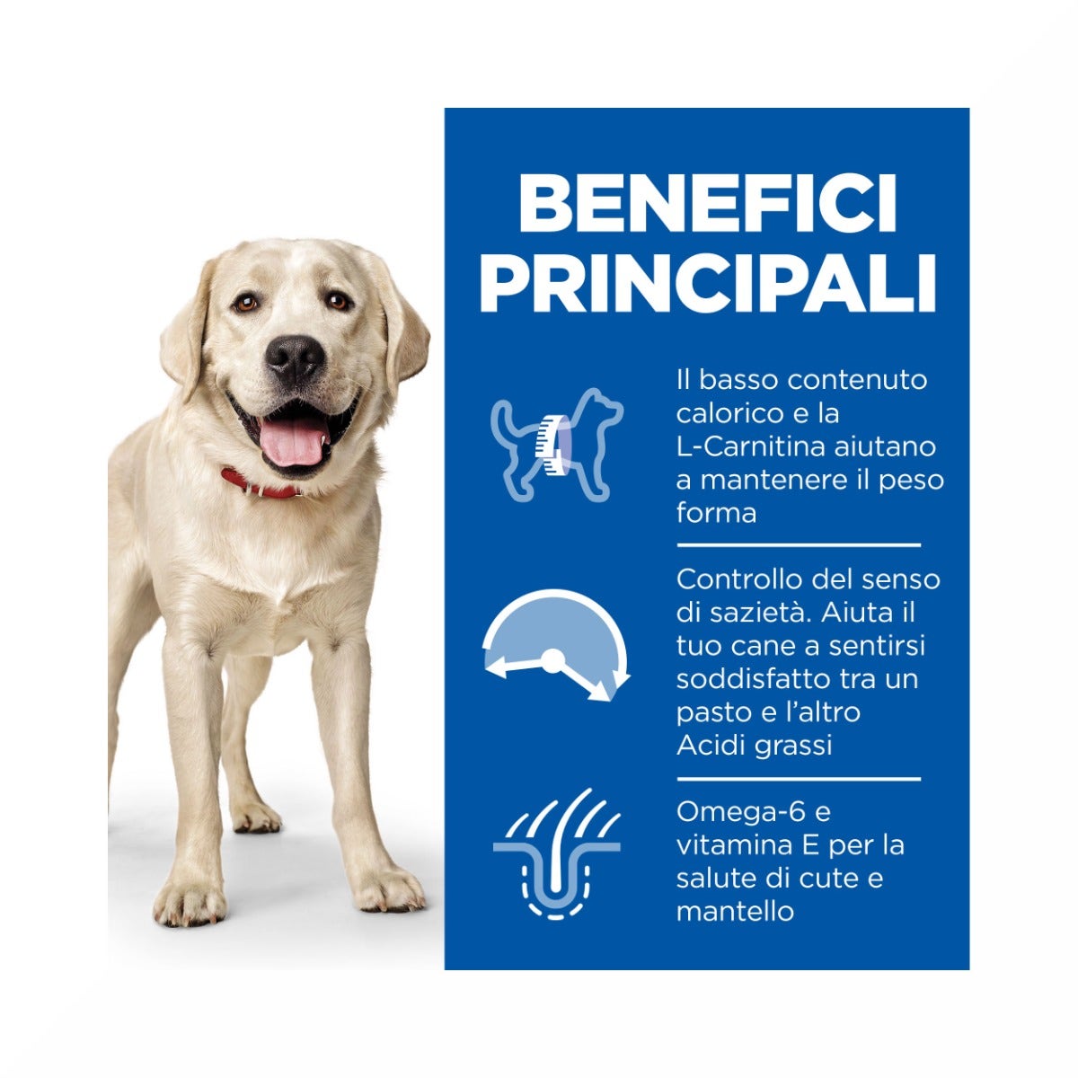 Hill's Science Plan Light Adult Crocchette Con Pollo Per Cani Taglia Large Sacco 14 Kg-4