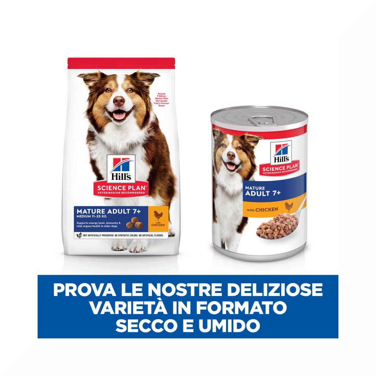 Hill's Science Plan Mature Adult 7+ Crocchette con Pollo per Cani Taglia Media Sacco 14 Kg-6