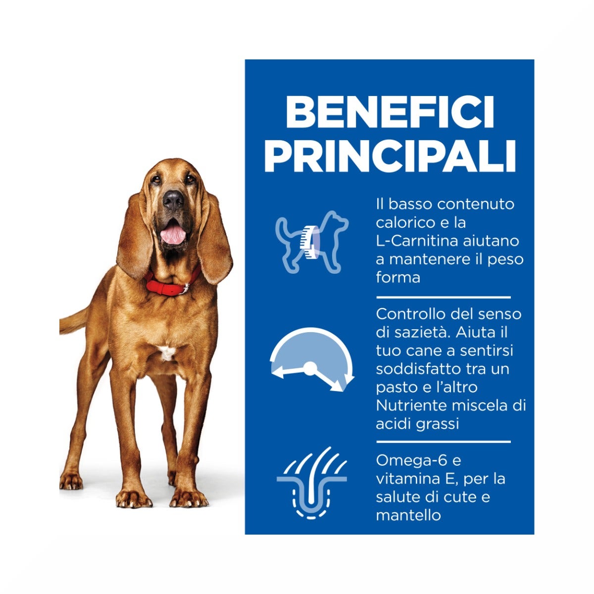 Hill's Science Plan Light Mature Adult Crocchette Con Pollo Per Cani Taglia Media Sacco 14Kg-4