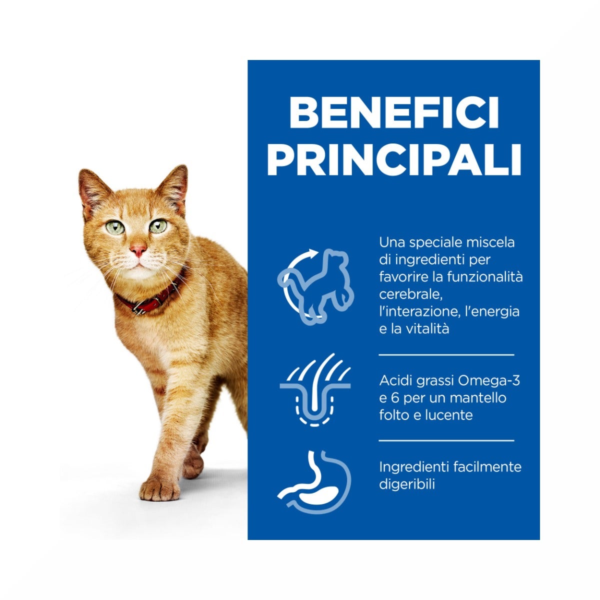 Hill's Science Plan Senior Vitality Adult 7+ Crocchette Per Gatti Con Pollo E Riso 1,5Kg-4