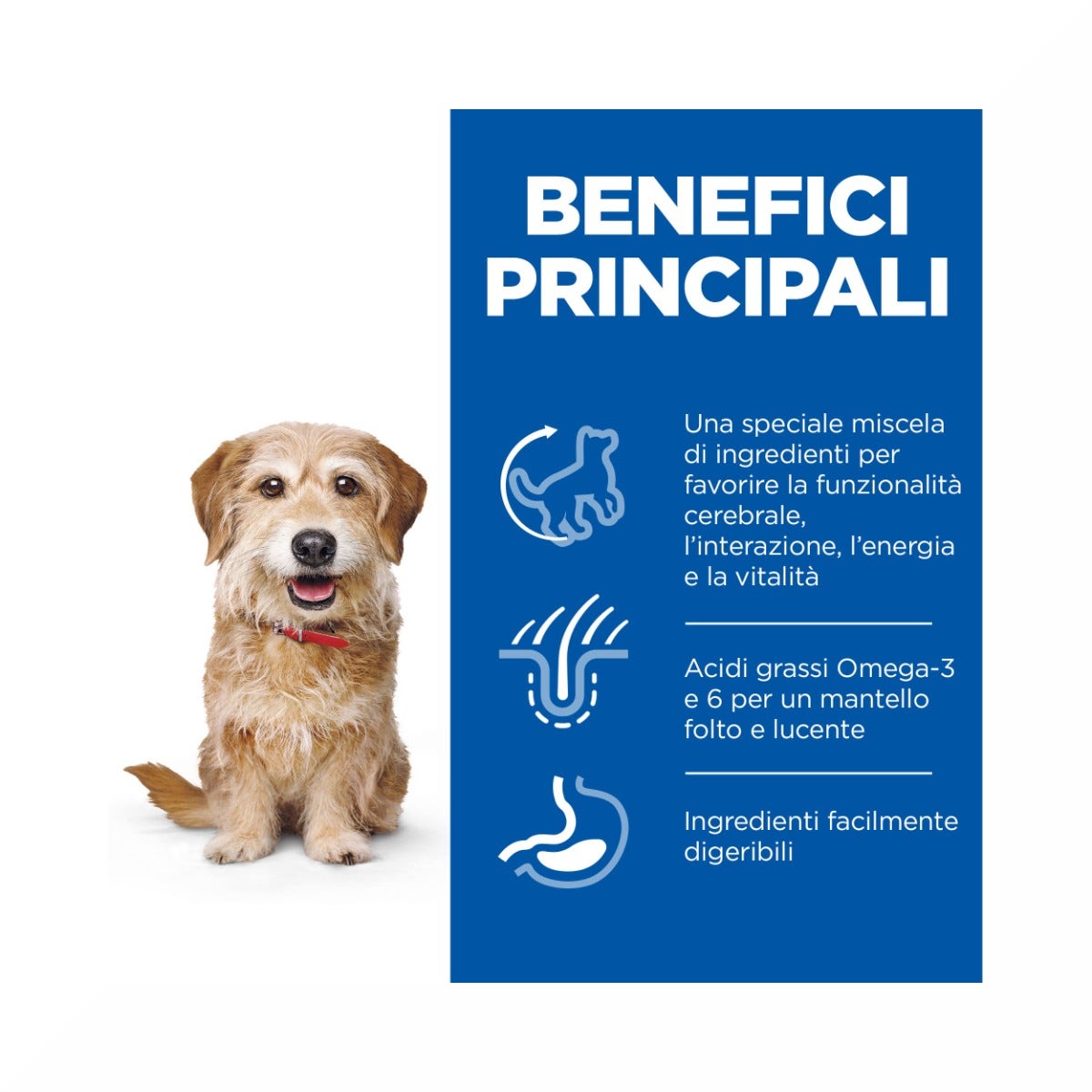 Hill's Science Plan Senior Vitality Mature Adult 7+ Crocchette Con Pollo E Riso Per Cani Taglia Piccola 1,5Kg-4