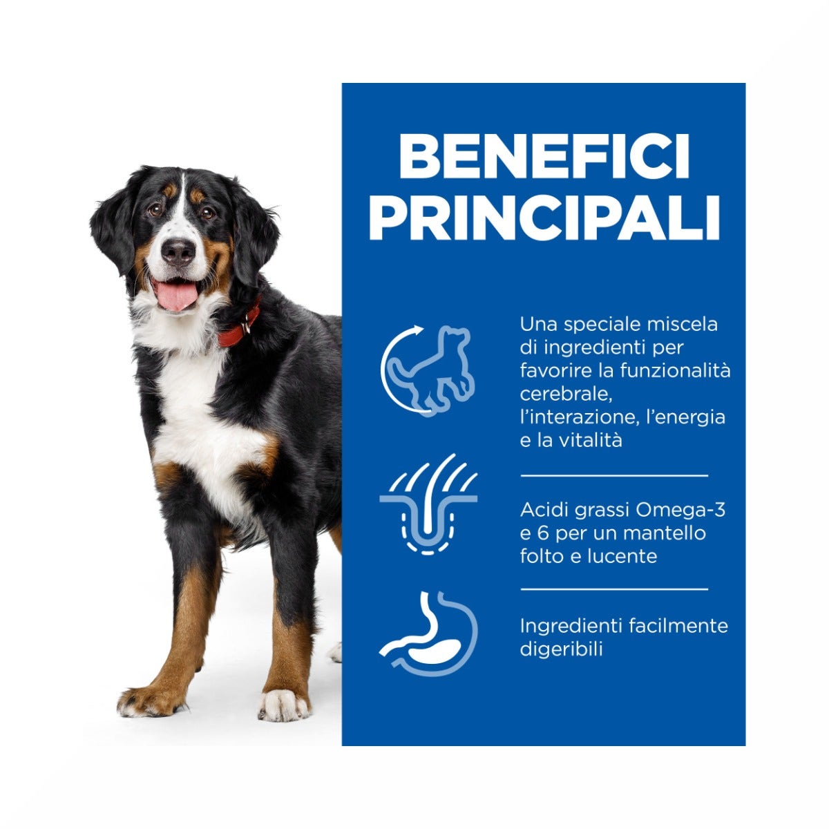 Hill's Science Plan Senior Vitality Mature Adult 6+ Crocchette Con Pollo E Riso Per Cani Taglia Grande 12Kg-6