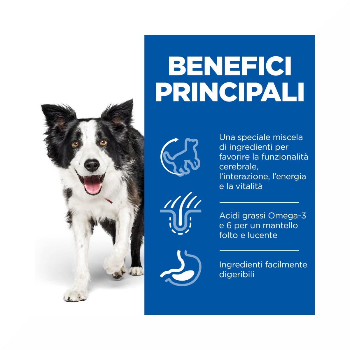 Hill's Science Plan Senior Vitality Mature Adult 7+ Crocchette Con Pollo E Riso Per Cani Taglia Media 12Kg-4