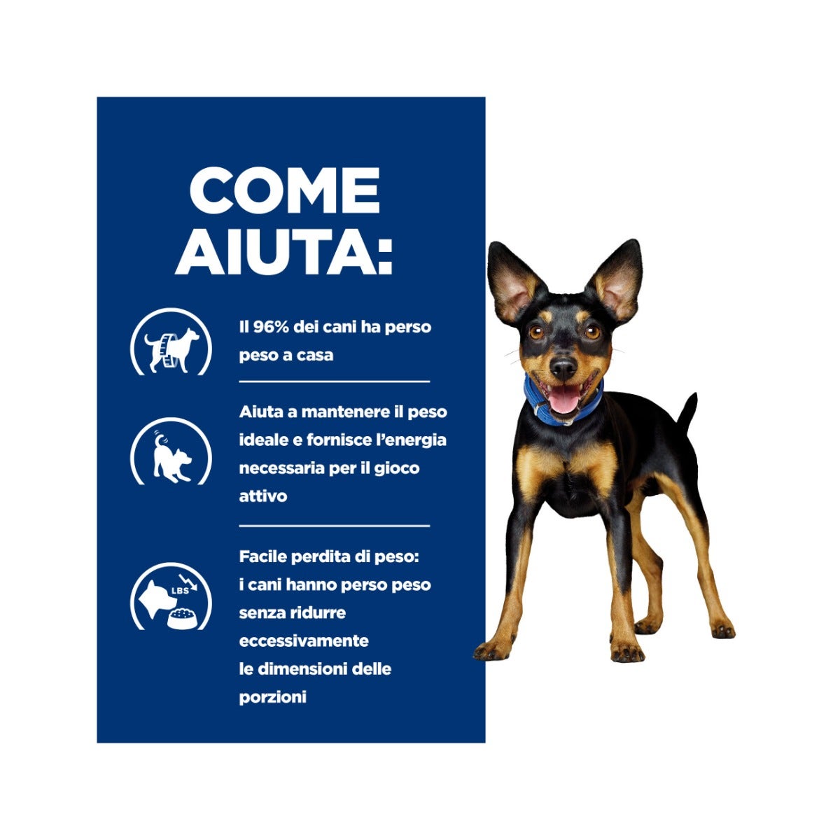 Hill's Prescription Diet Metabolic Crocchette Al Pollo Per Cani Taglia Mini Sacco 3kg-4