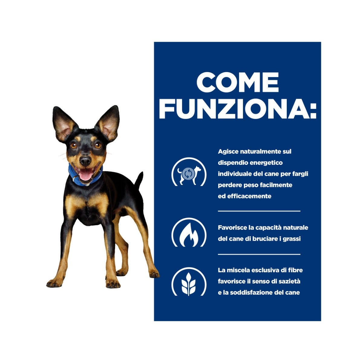 Hill's Prescription Diet Metabolic Crocchette Al Pollo Per Cani Taglia Mini Sacco 1kg-7