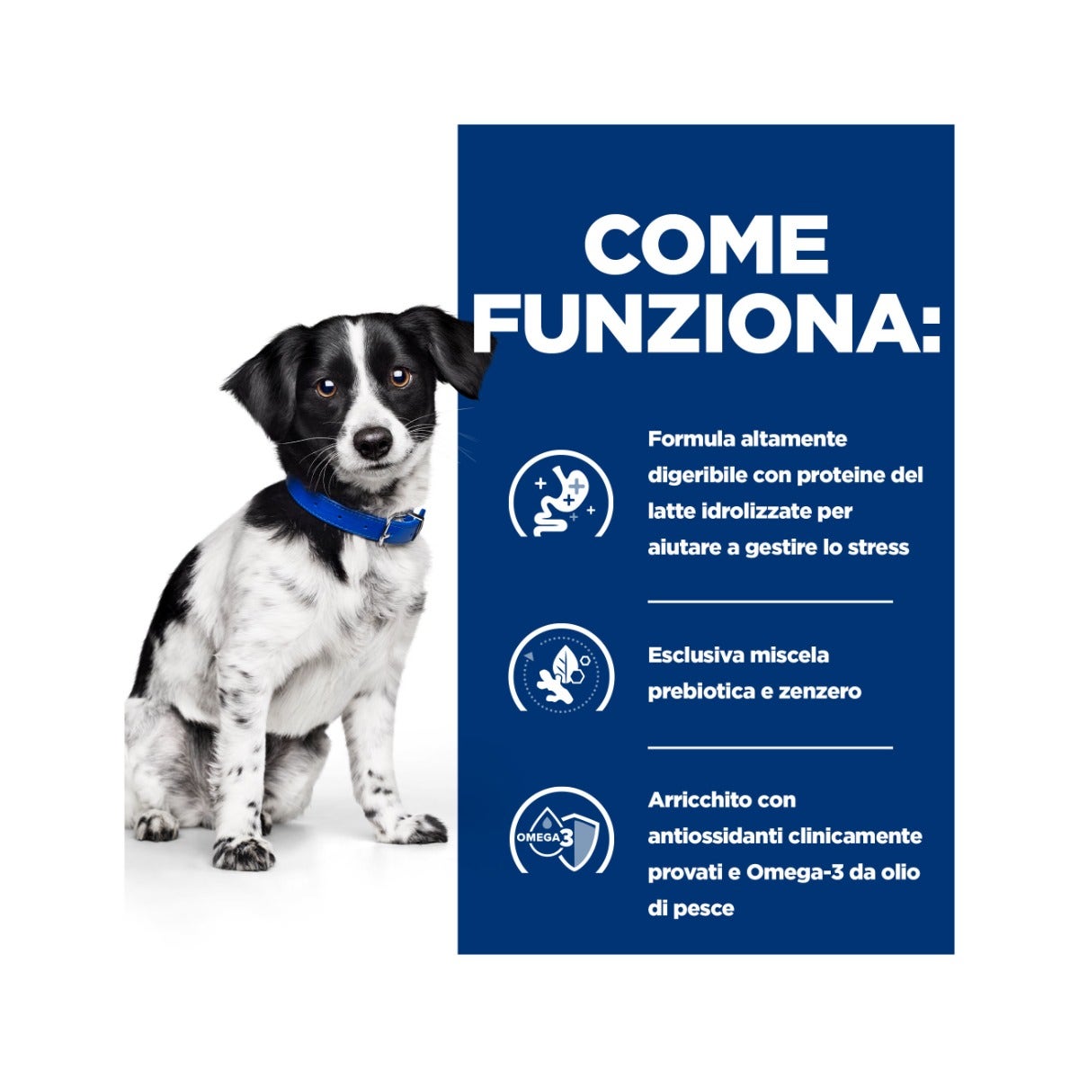 Hill's Prescription Diet I/D Digestive Care Stress Crocchette Per Cani Con Pollo Taglia Mini Sacco 6kg-4