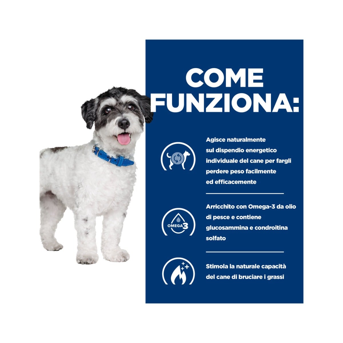 Hill's Prescription Diet J/D Metabolic+Mobility Crocchette Per Cani Taglia Mini Sacco 3kg-4