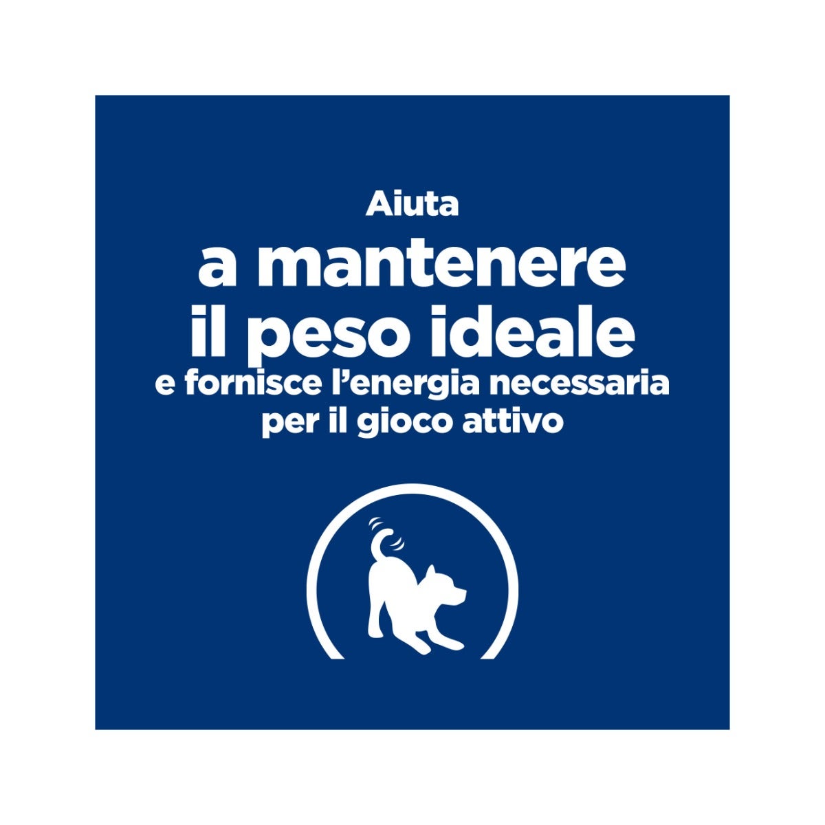 Hill's Prescription Diet J/D Metabolic+Mobility Crocchette Per Cani Taglia Mini Sacco 1kg-12