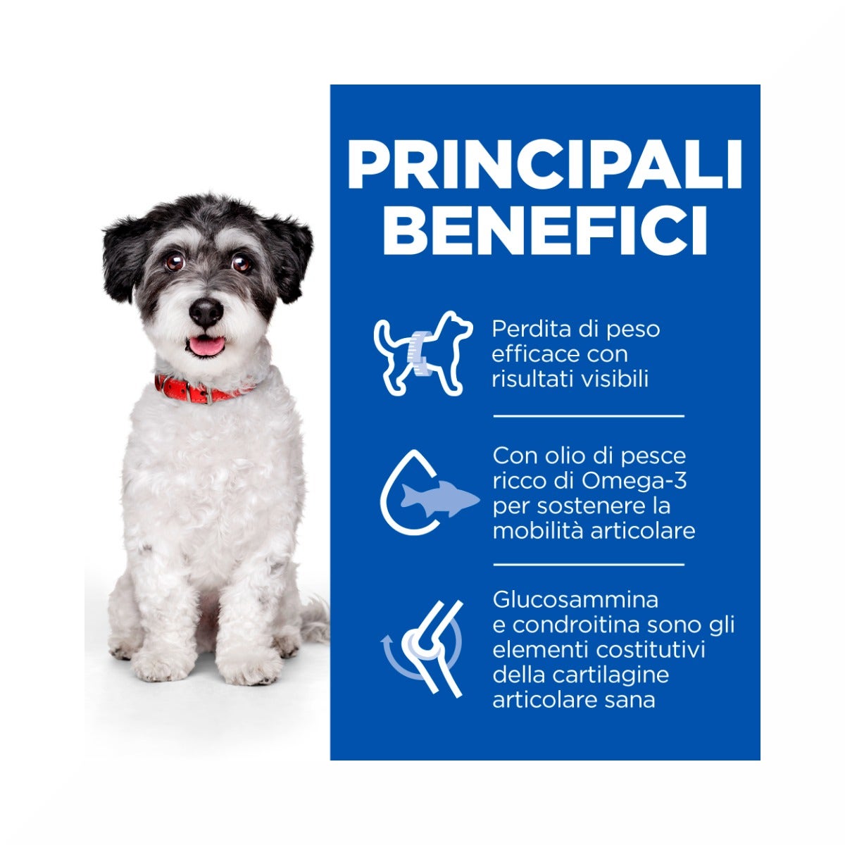 Hill's Science Plan Perfect Weight & Active Mobility Adult Crocchette Con Pollo Per Cani Taglia Piccola Sacco 1,5 kg-5