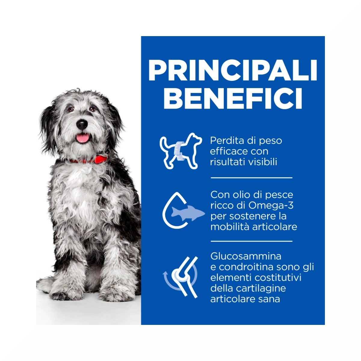 Hill's Science Plan Perfect Weight & Active Mobility Adult Crocchette Con Pollo Per Cani Taglia Media Sacco 2,5 Kg-5