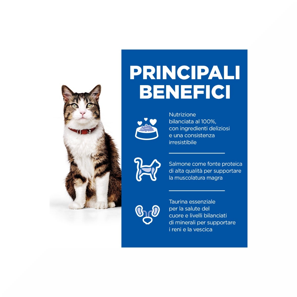 Hill's Science Plan Culinary Creations Medium Adult Crocchette per Gatti con Salmone E Carote 1,5Kg-4