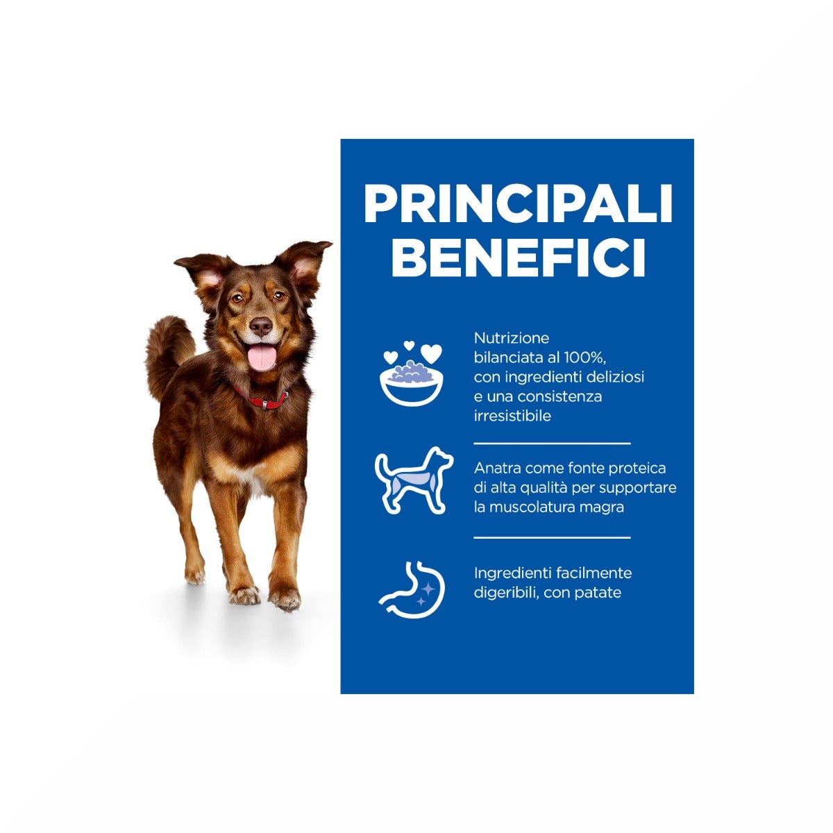 Hill's Science Plan Culinary Creations Adult Crocchette Con Anatra E Patate Per Cani Taglia Media Sacco 14kg-6