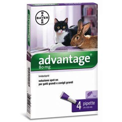 Advantage Spot On 4 Pipette 0,8ml Antiparassitario Gatti/Conigli Grandi  - 1