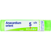 Boiron Anacardium Orientale 05Ch Tubo Granuli 4g  - 1