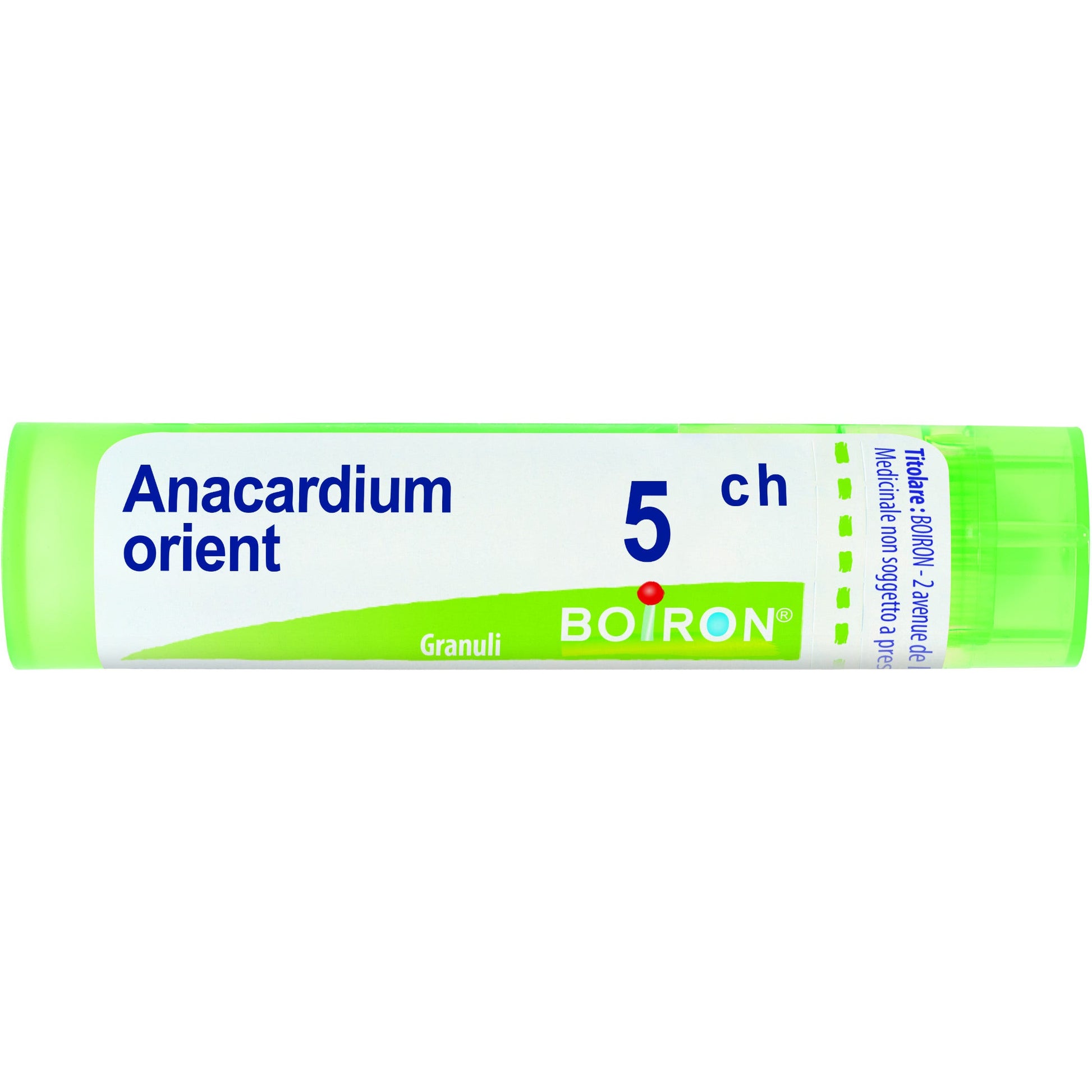 Boiron Anacardium Orientale 05Ch Tubo Granuli 4g  - 1