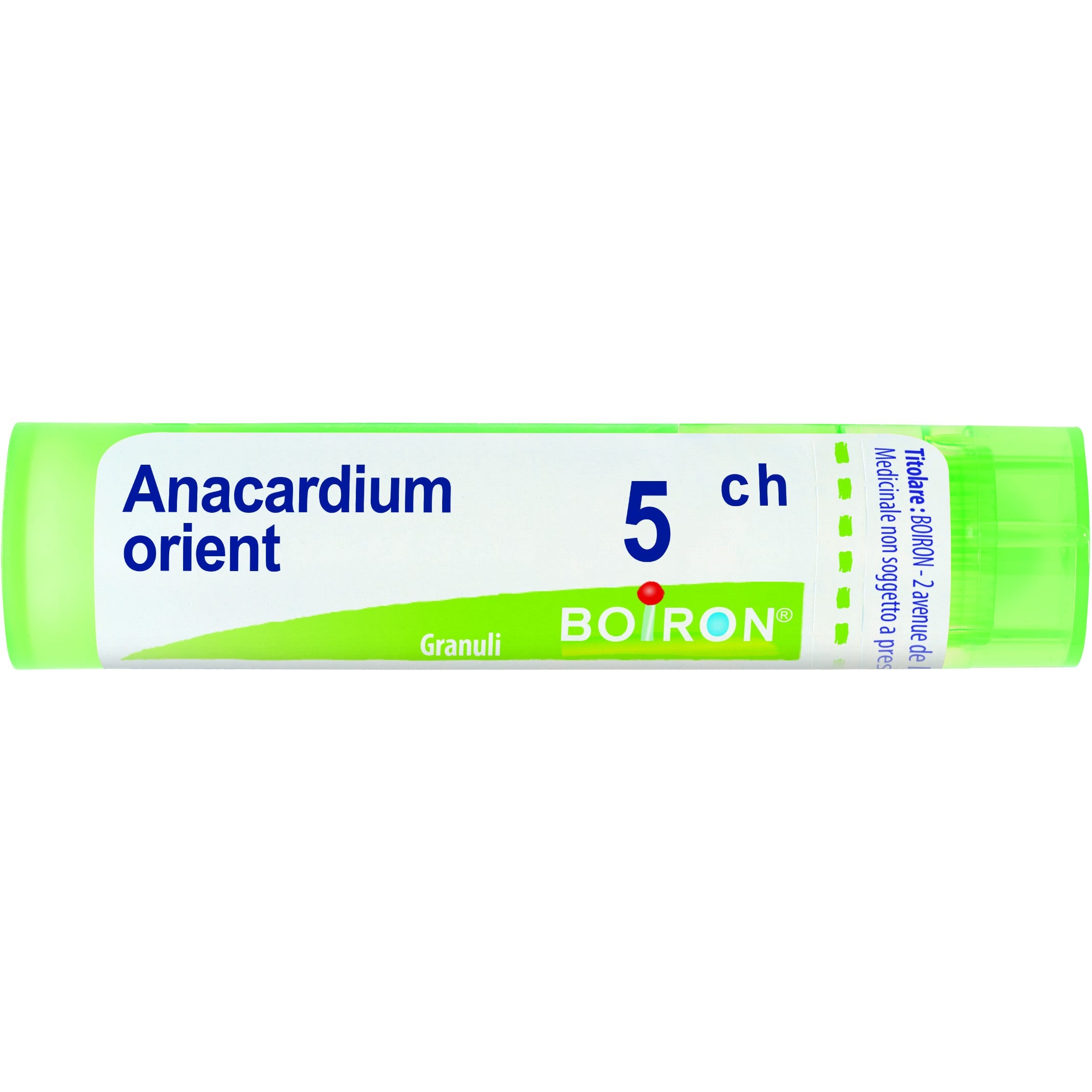 Boiron Anacardium Orientale 05Ch Tubo Granuli 4g  - 1