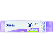 Boiron Silicea Granuli 30Ch Tubo 4g  - 2