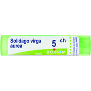 Boiron Solidago Virga Aurea Granuli 05Ch Tubo 4g - 1