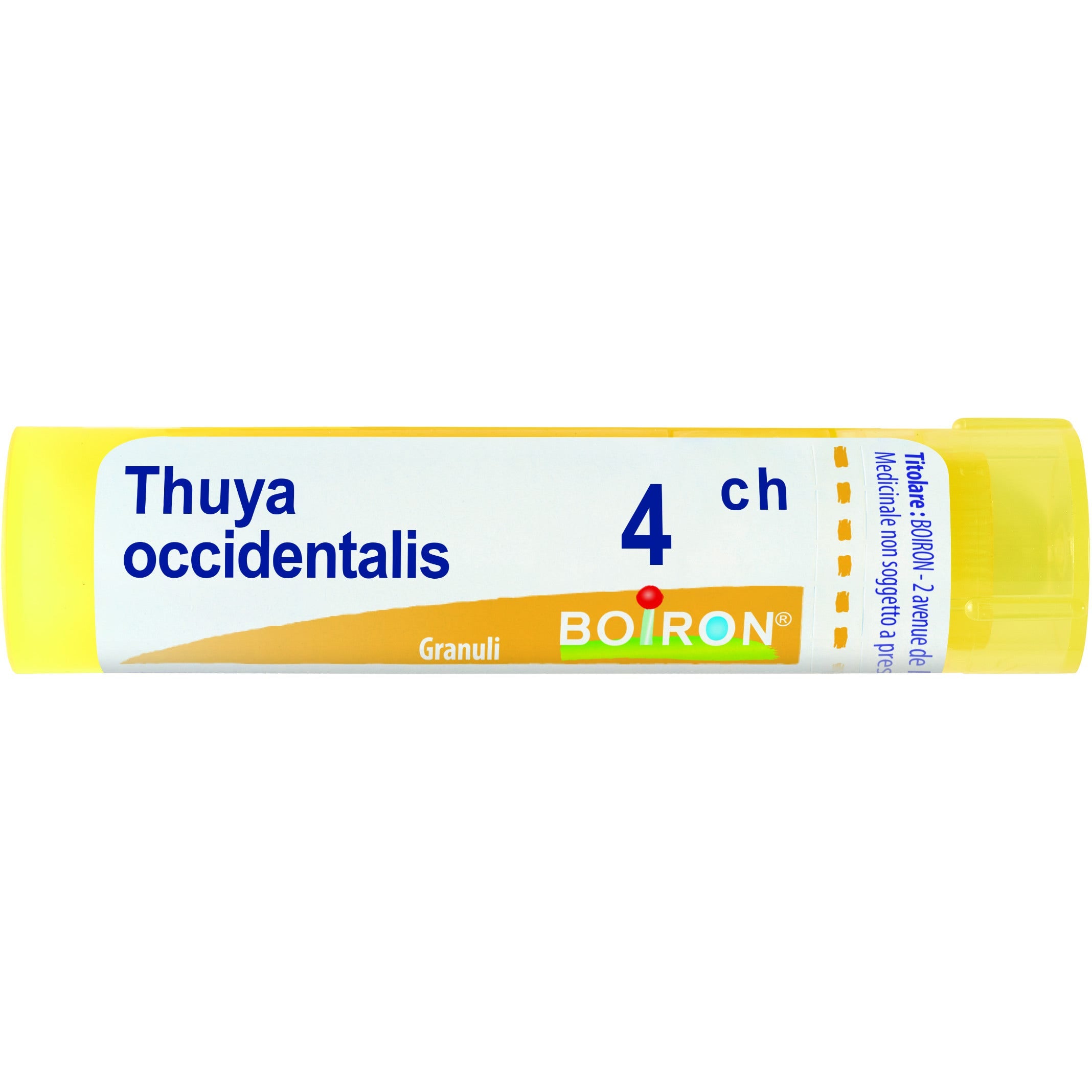 Boiron Thuya Occidentalis Granuli 04Ch Tubo 4g  - 1