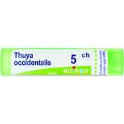 Boiron Thuya Occidentalis Granuli 05Ch Tubo 4g - 1
