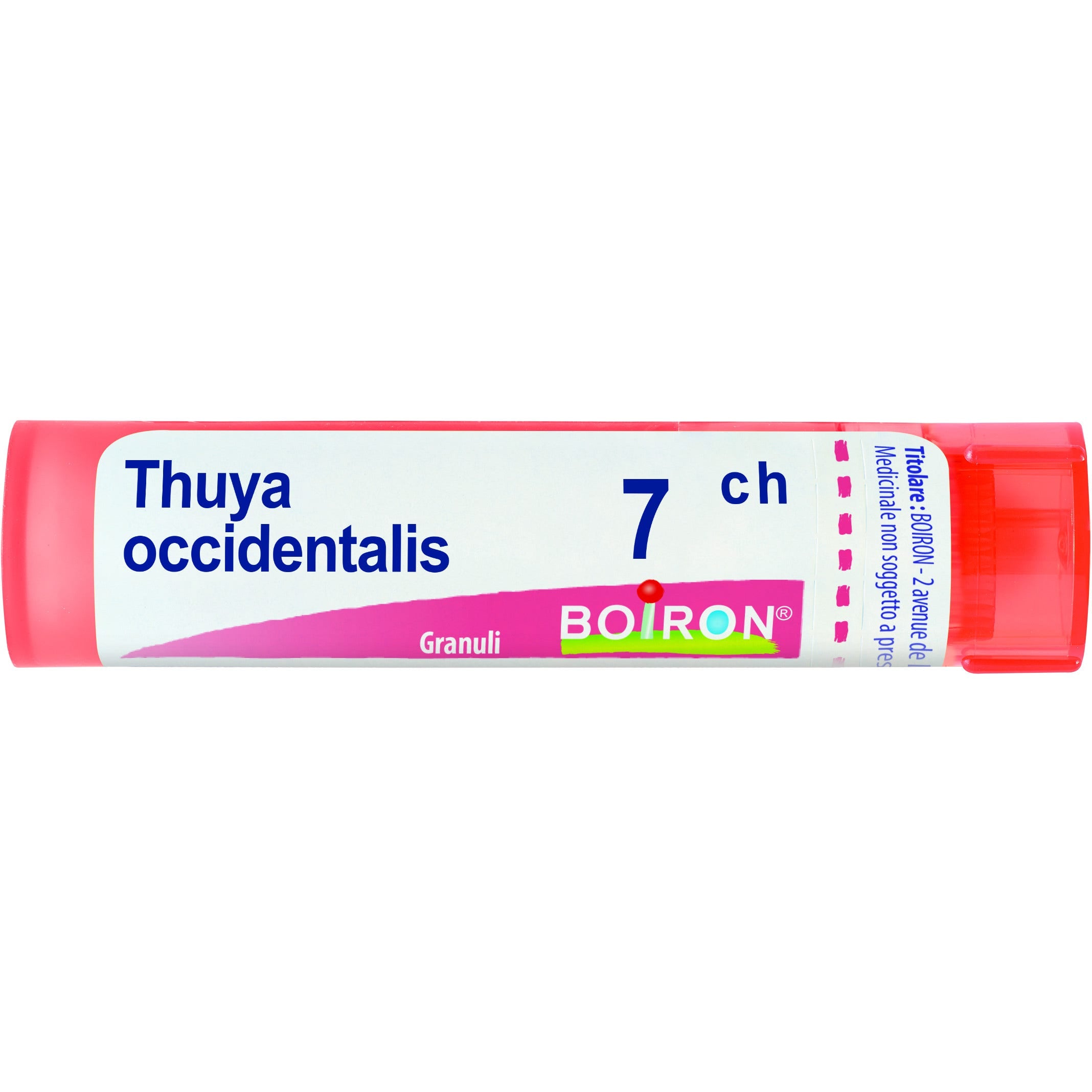 Boiron Thuya Occidentalis Granuli 07Ch Tubo 4g - 1