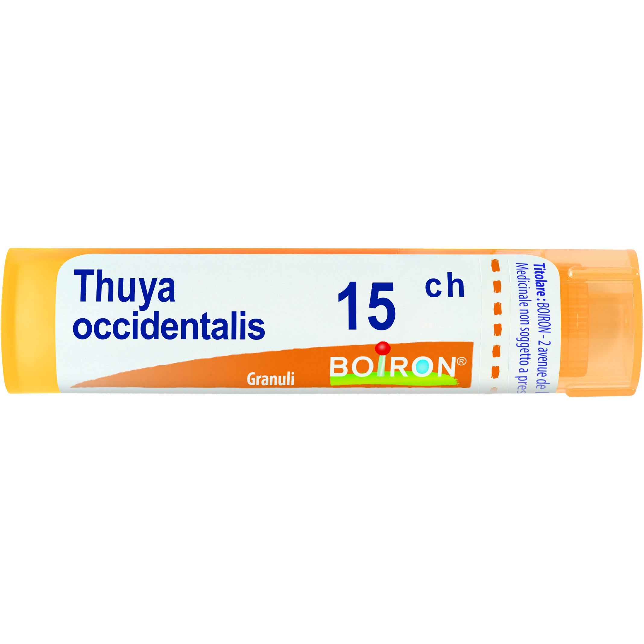 Boiron Thuya Occidentalis Granuli 15Ch Tubo 4g - 1