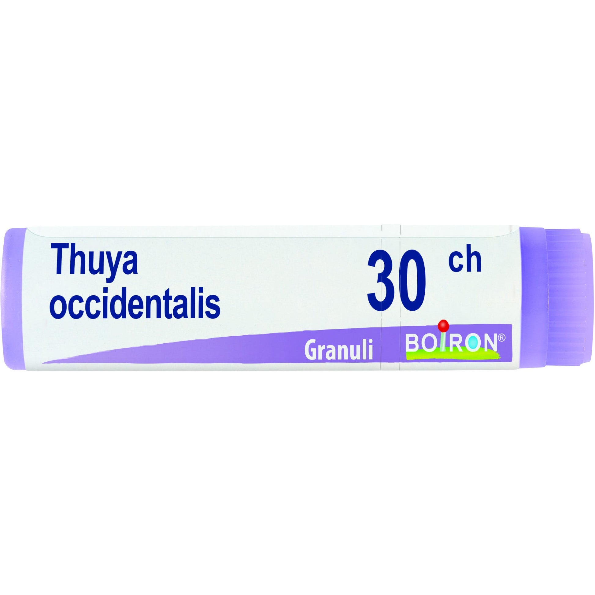Boiron Thuya Occidentalis Globuli 30Ch Dose 1g  - 1