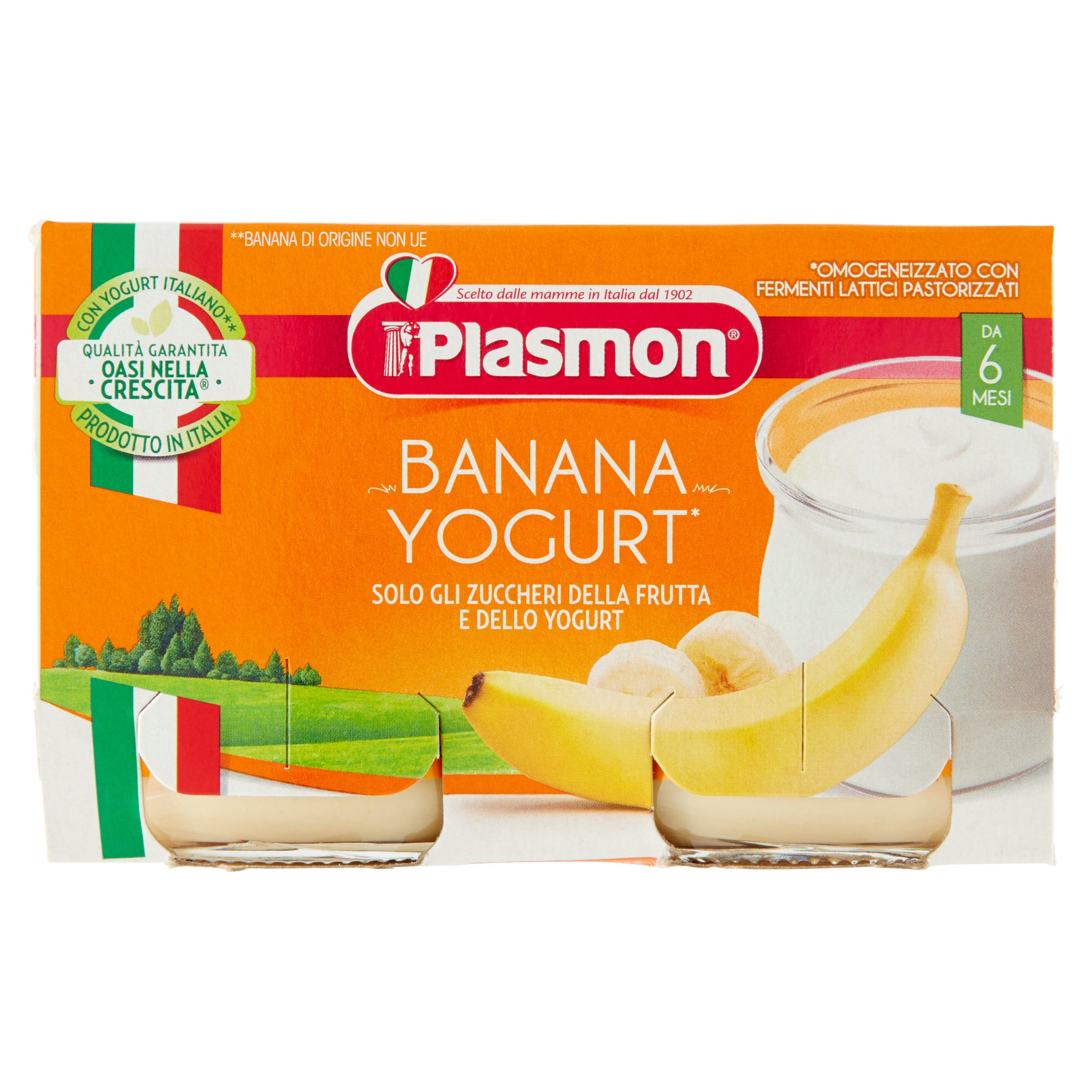 Plasmon Omogeneizzato Yogurt Banana 2x120g  - 2