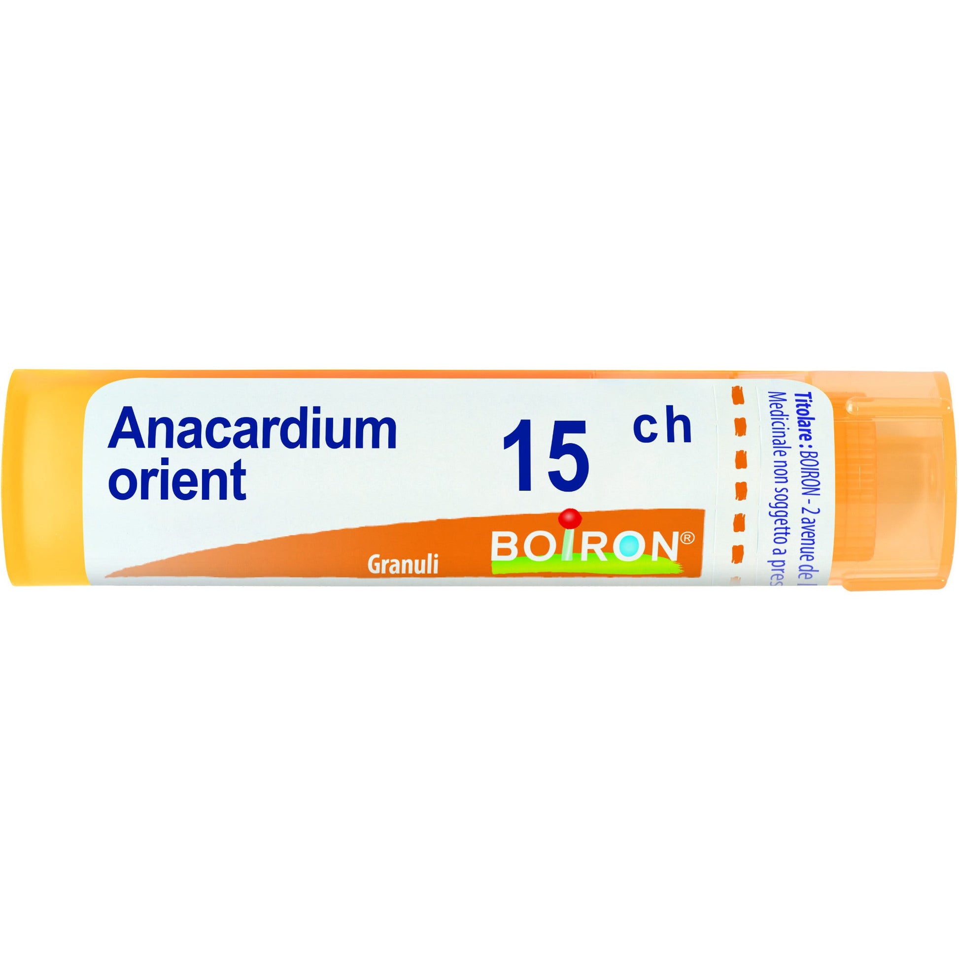 Boiron Anacardium Orientale Granuli 15Ch Tubo 4g  - 1