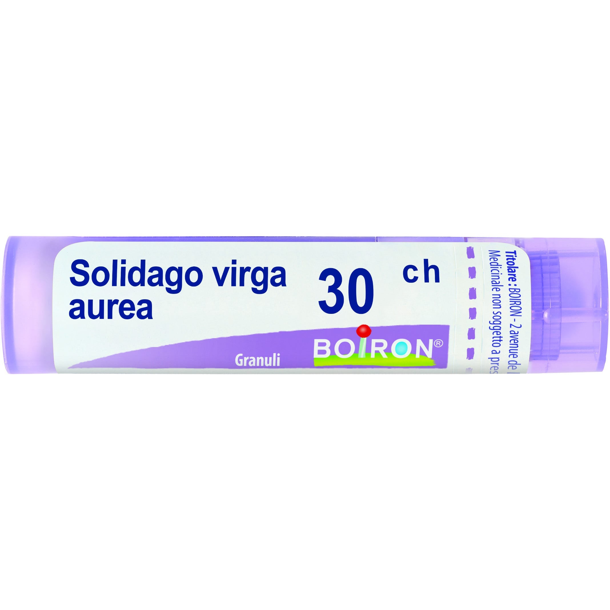 Boiron Solidago Virga Aurea Granuli 30Ch Tubo 4g  - 2