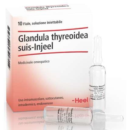 Guna Heel Glandula Thyroidea Suis Injeel 10 Fiale-1