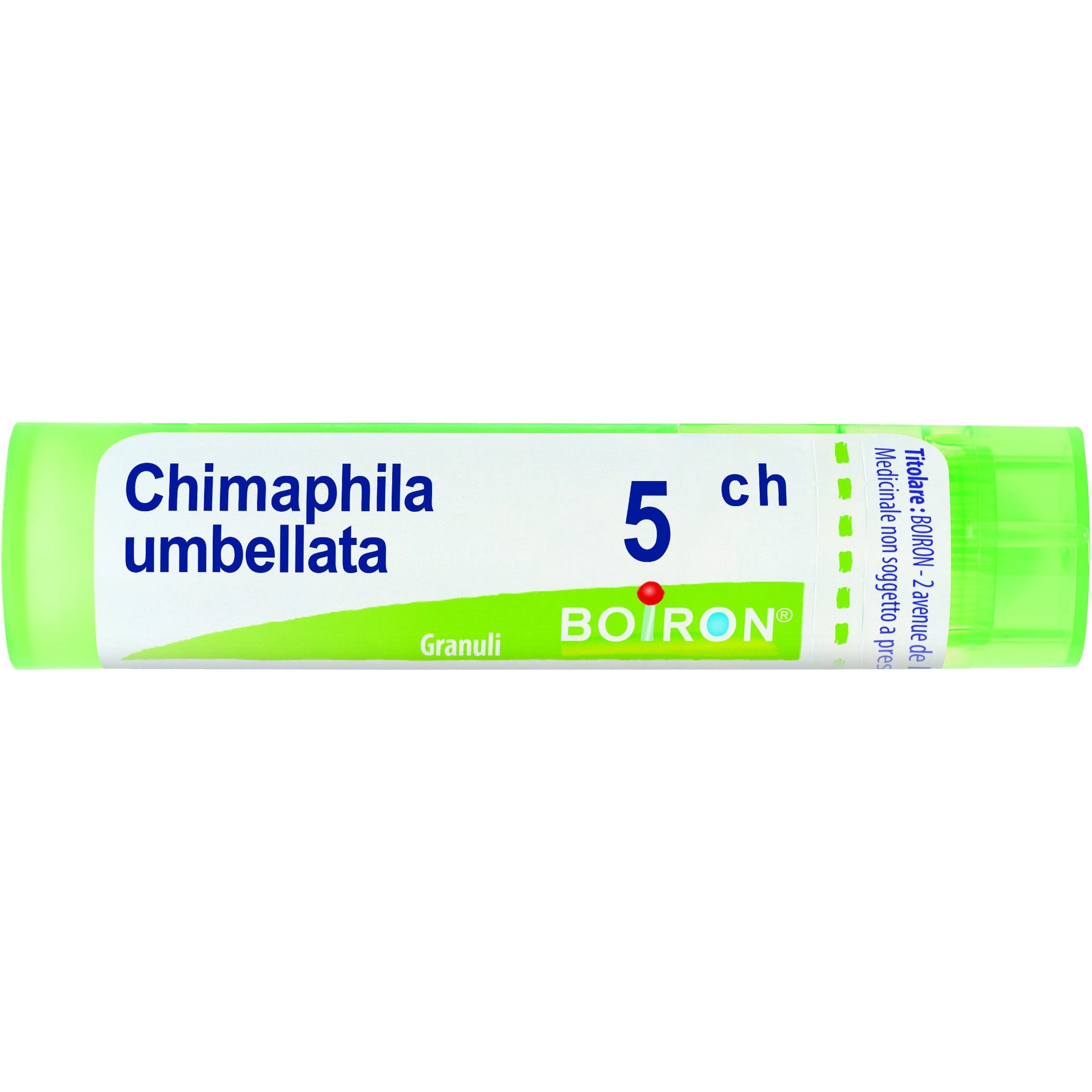 Boiron Chimaphila Umbellata Granuli 05Ch Tubo 4g - 1