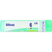 Boiron Silicea Granuli 06Ch Tubo 4g  - 1