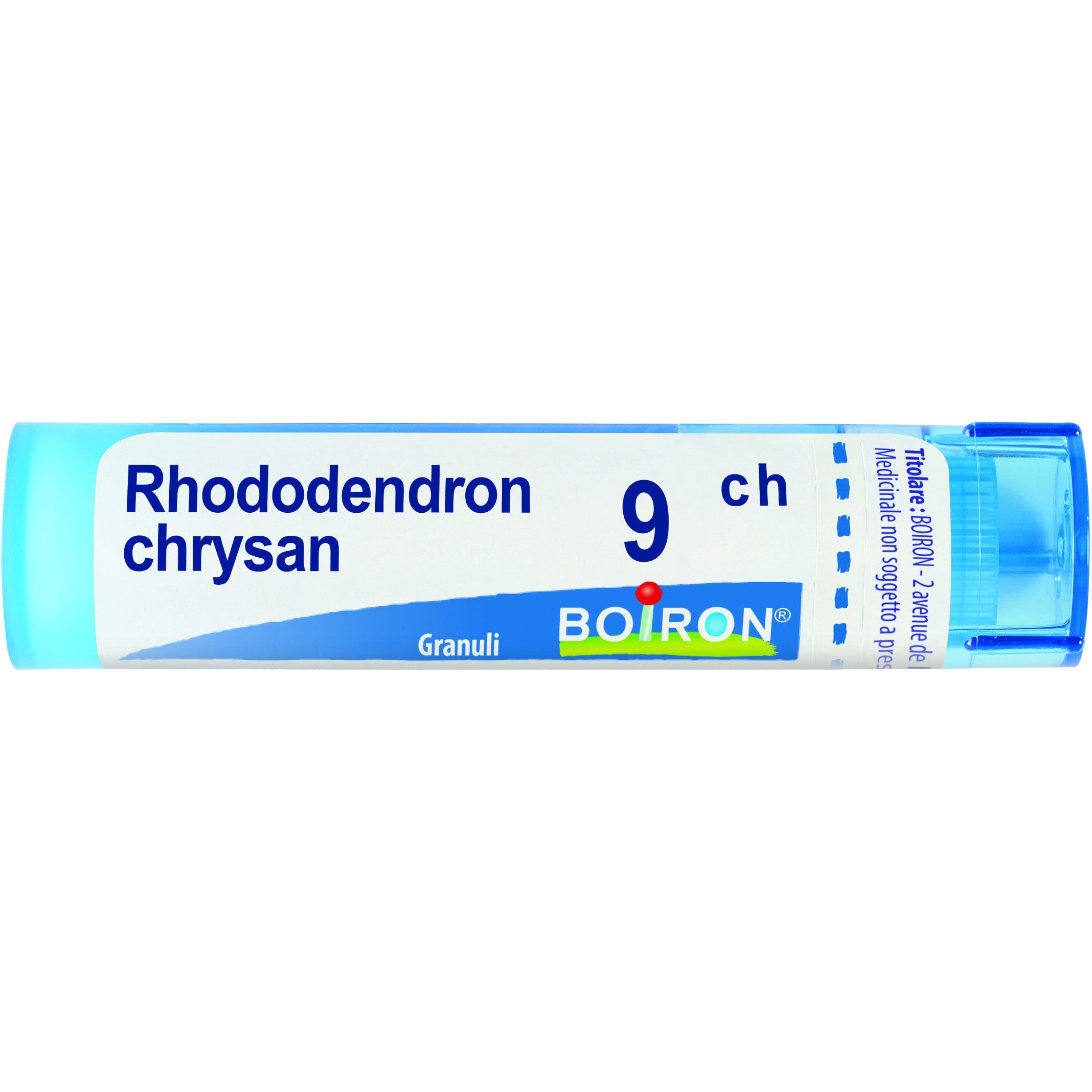 Boiron Rhododendron Chrysan Granuli 09Ch Tubo 4g  - 1