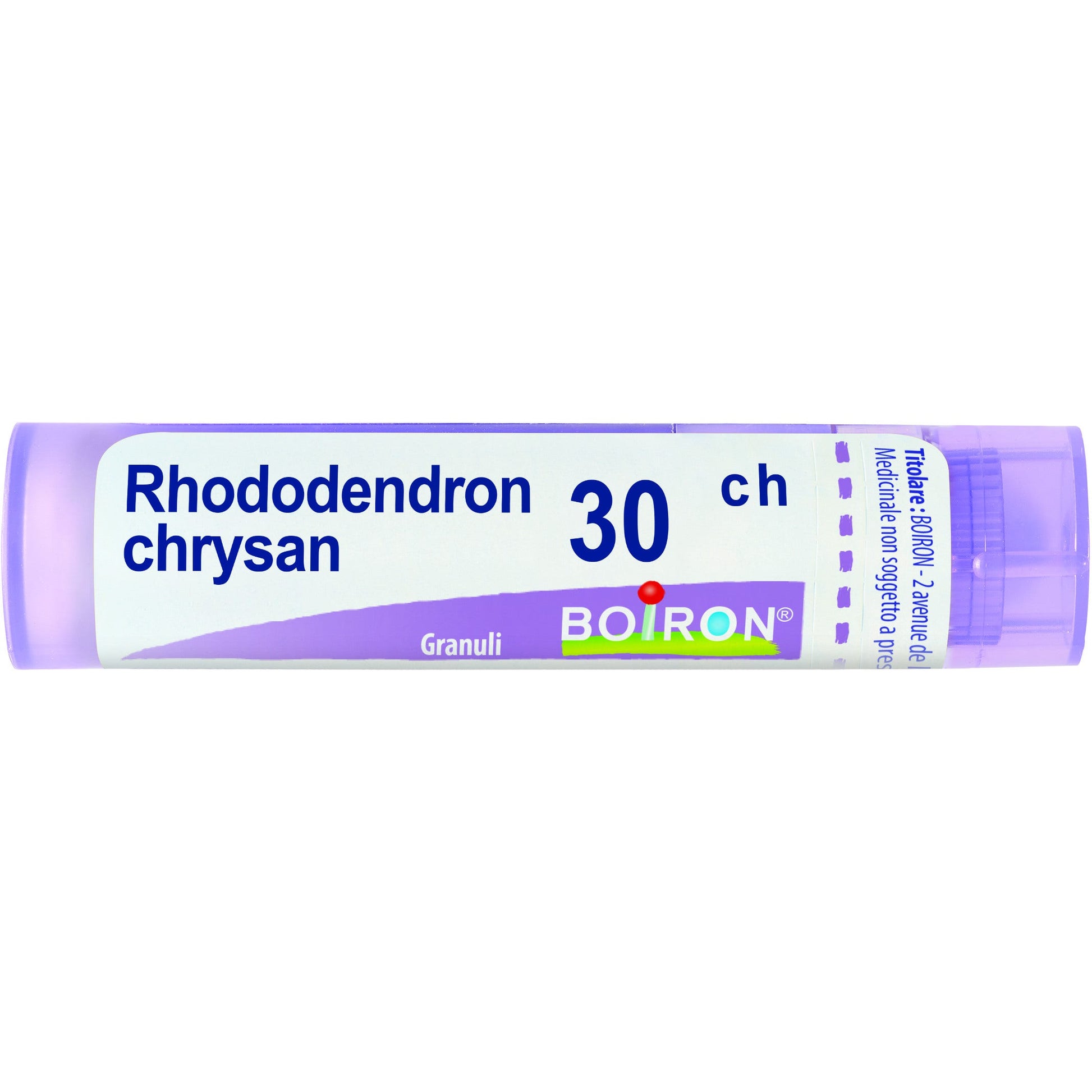 Boiron Rhododendron Chrysan Granuli 30Ch Tubo 4g  - 2