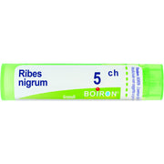 Boiron Ribes Nigrum Granuli 05Ch Tubo 4g - 1