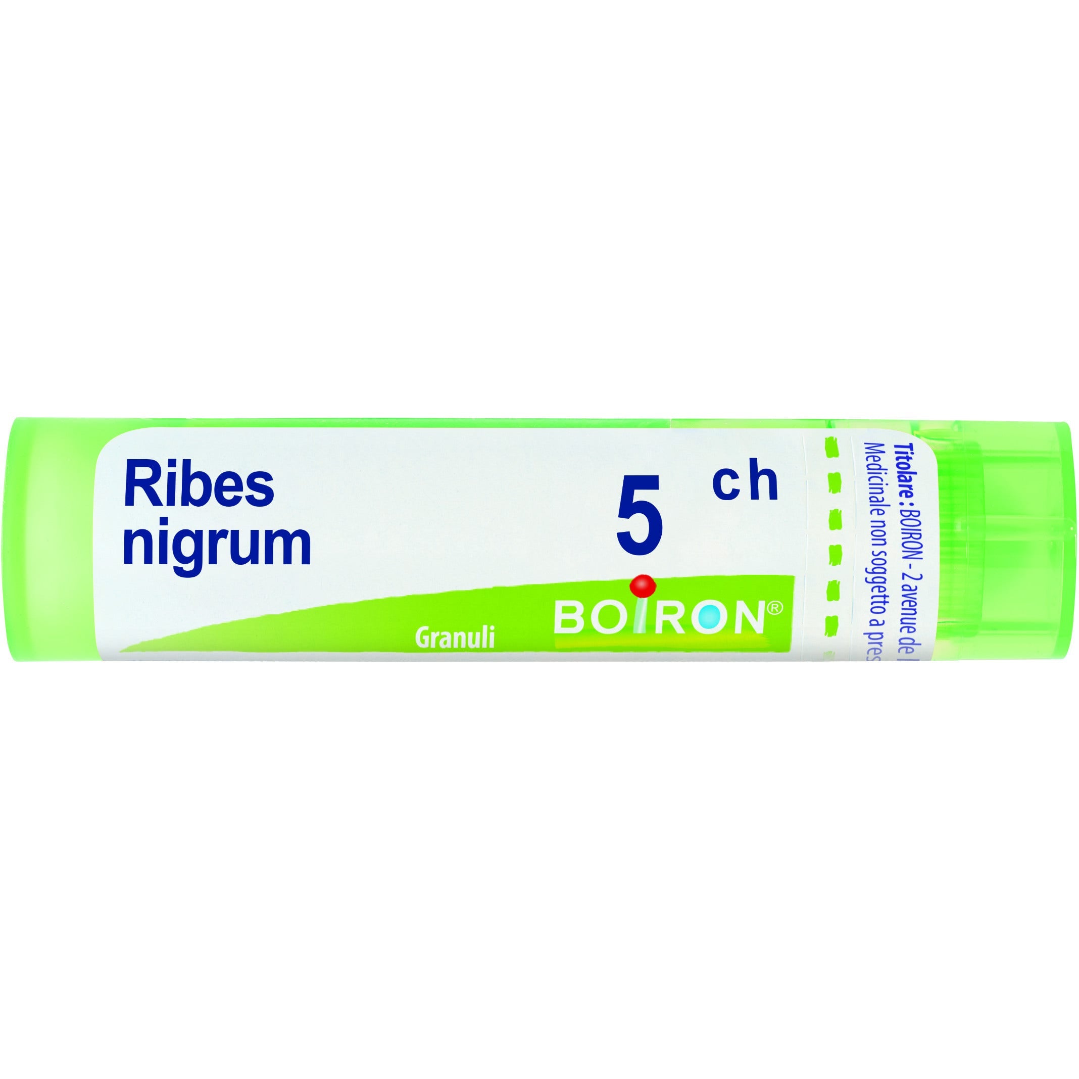 Boiron Ribes Nigrum Granuli 05Ch Tubo 4g - 1