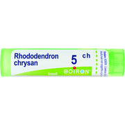 Boiron Rhododendron Chrysan Granuli 05Ch Tubo 4g  - 1