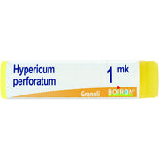 Boiron Hypericum Perforatum Globuli 1Mk Dose 1g  - 1