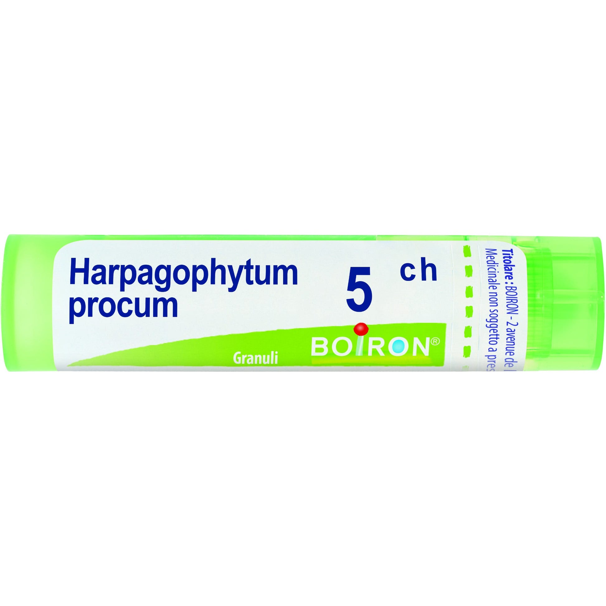 Boiron Harpagophytum Procumbens Granuli 05Ch Tubo 4g  - 1