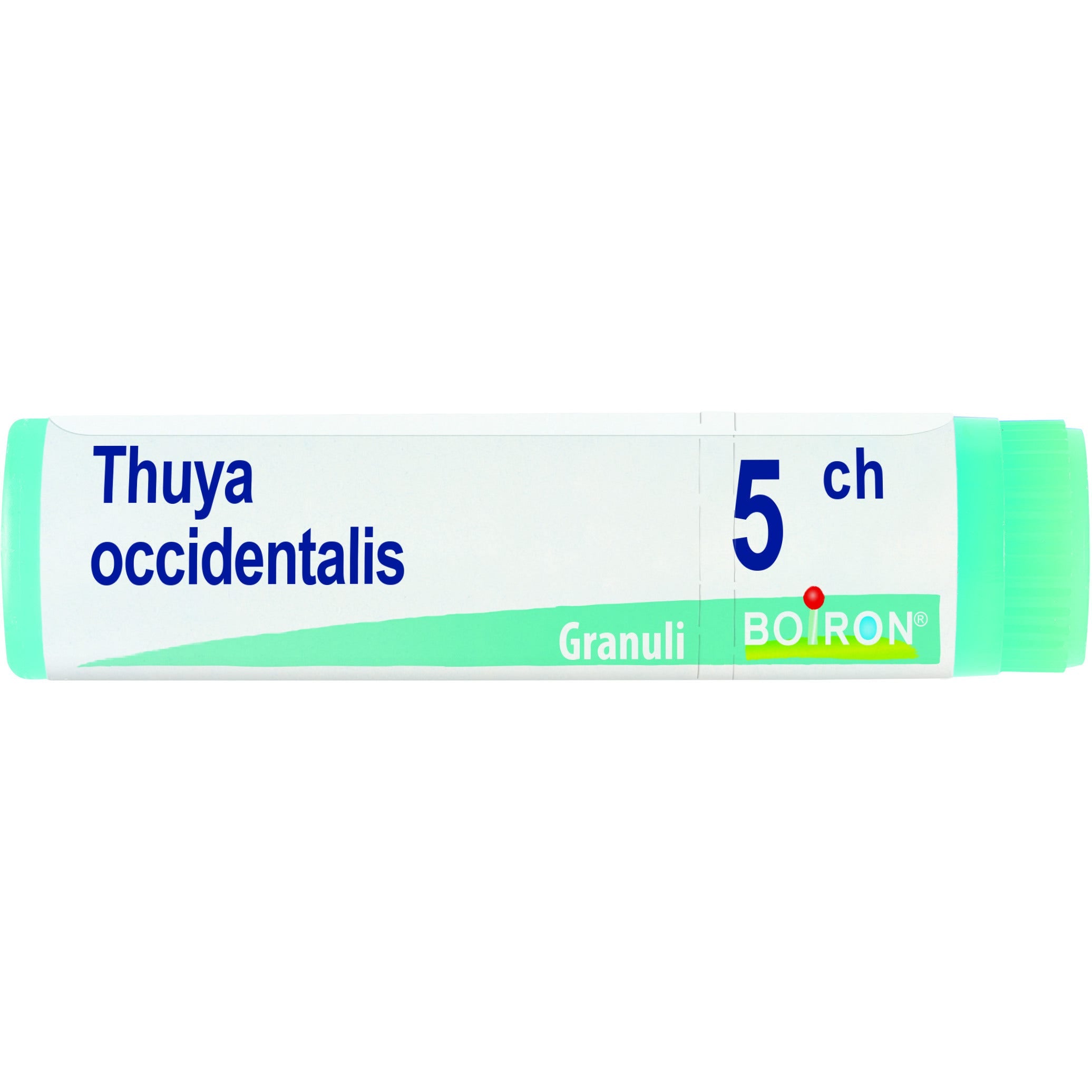 Boiron Thuya Occidentalis Globuli 05Ch Dose 1g - 1